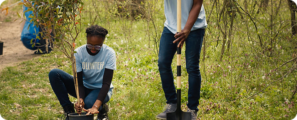 Training & Capacity Building