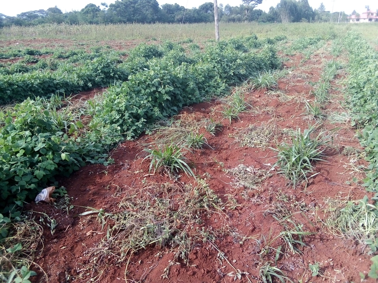 /images/claves/claves14.jpeg1