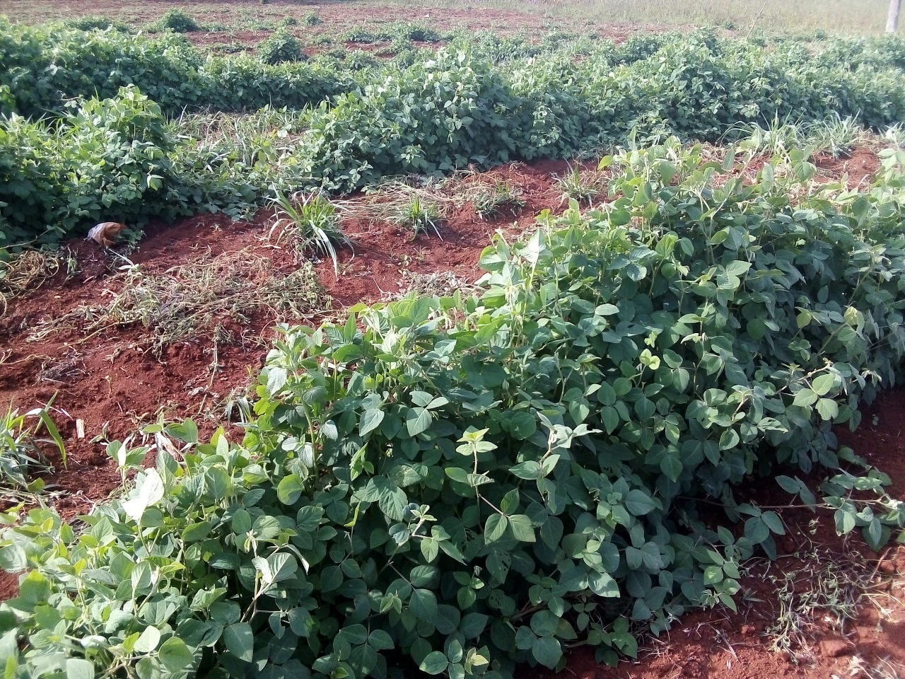 /images/claves/claves17.jpeg1