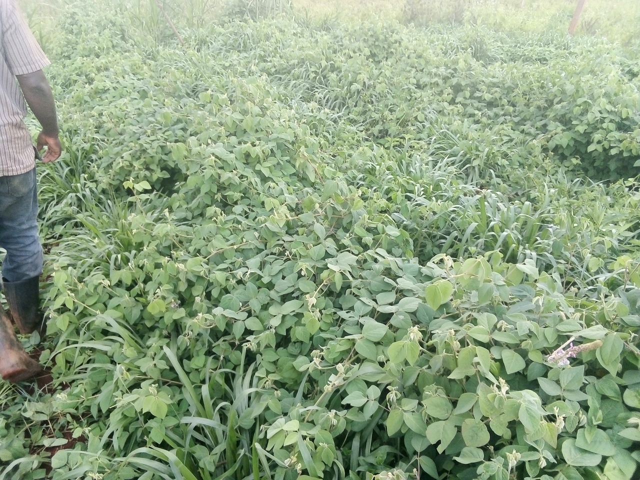 /images/claves/claves20.jpeg1