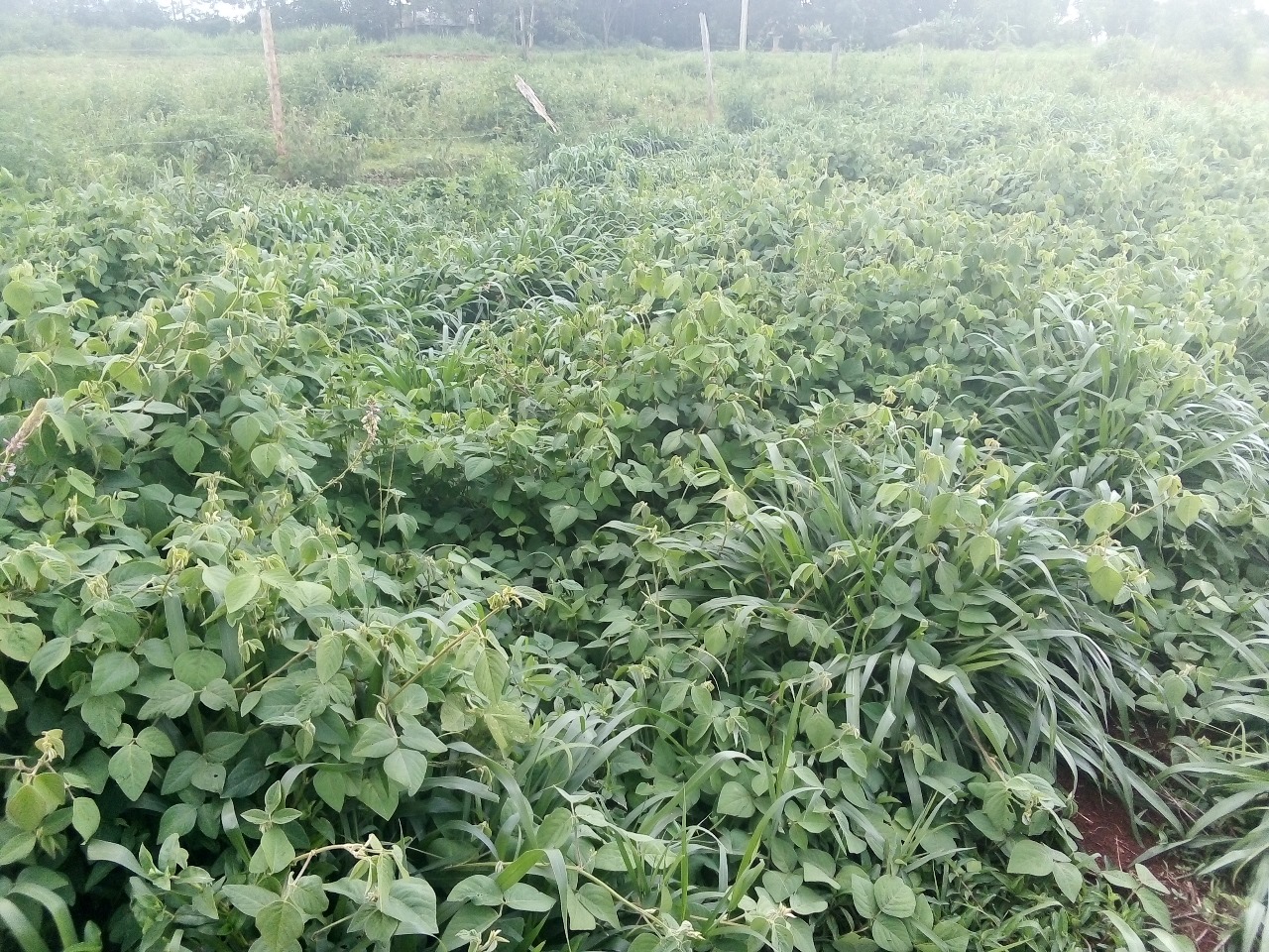 /images/claves/claves24.jpeg1