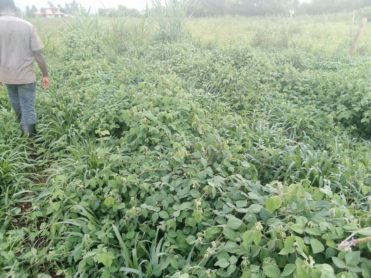 /images/claves/claves26.jpeg1