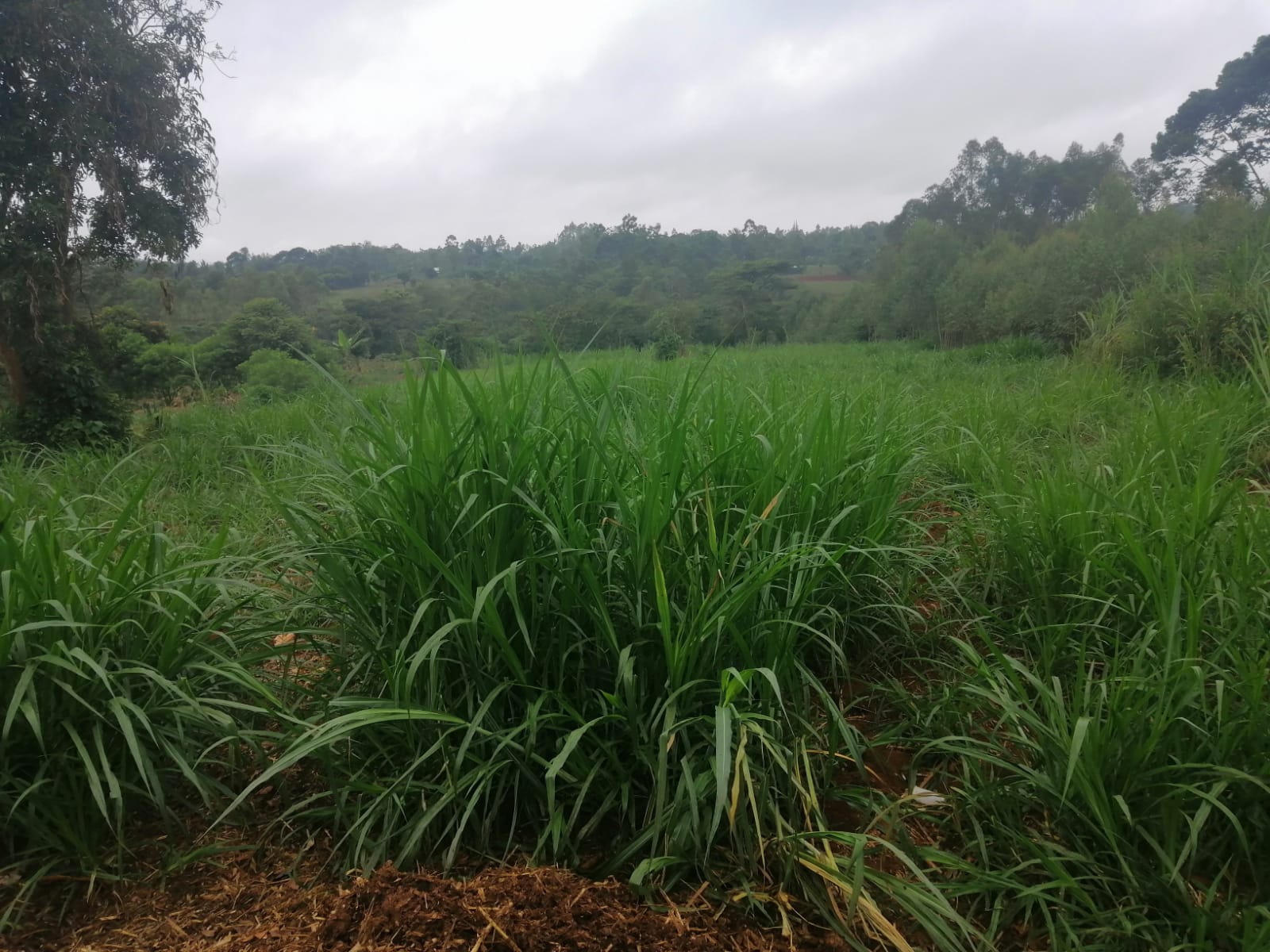 /images/claves/claves6.jpeg1