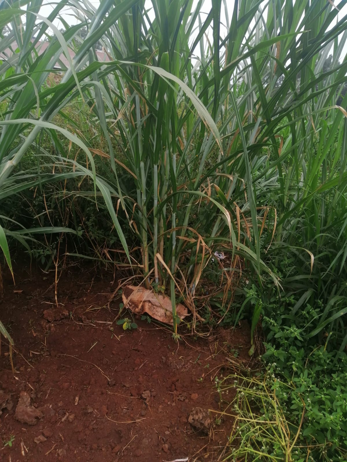 /images/claves/claves8.jpeg1