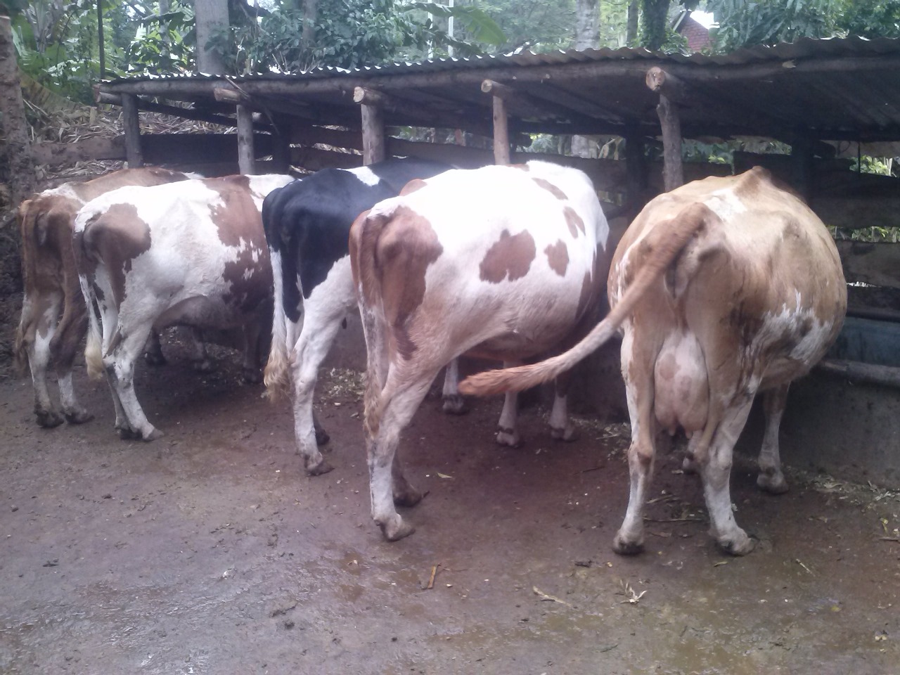 /images/diaries/diary2.jpeg1