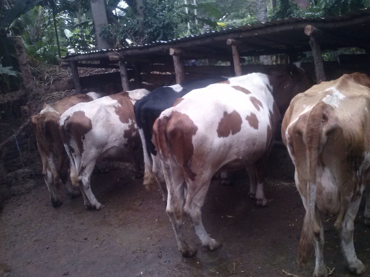 /images/diaries/diary4.jpeg1