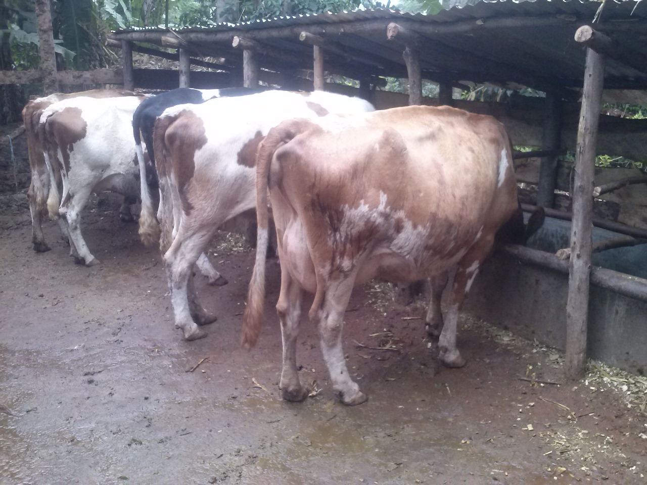 /images/diaries/diary8.jpeg1