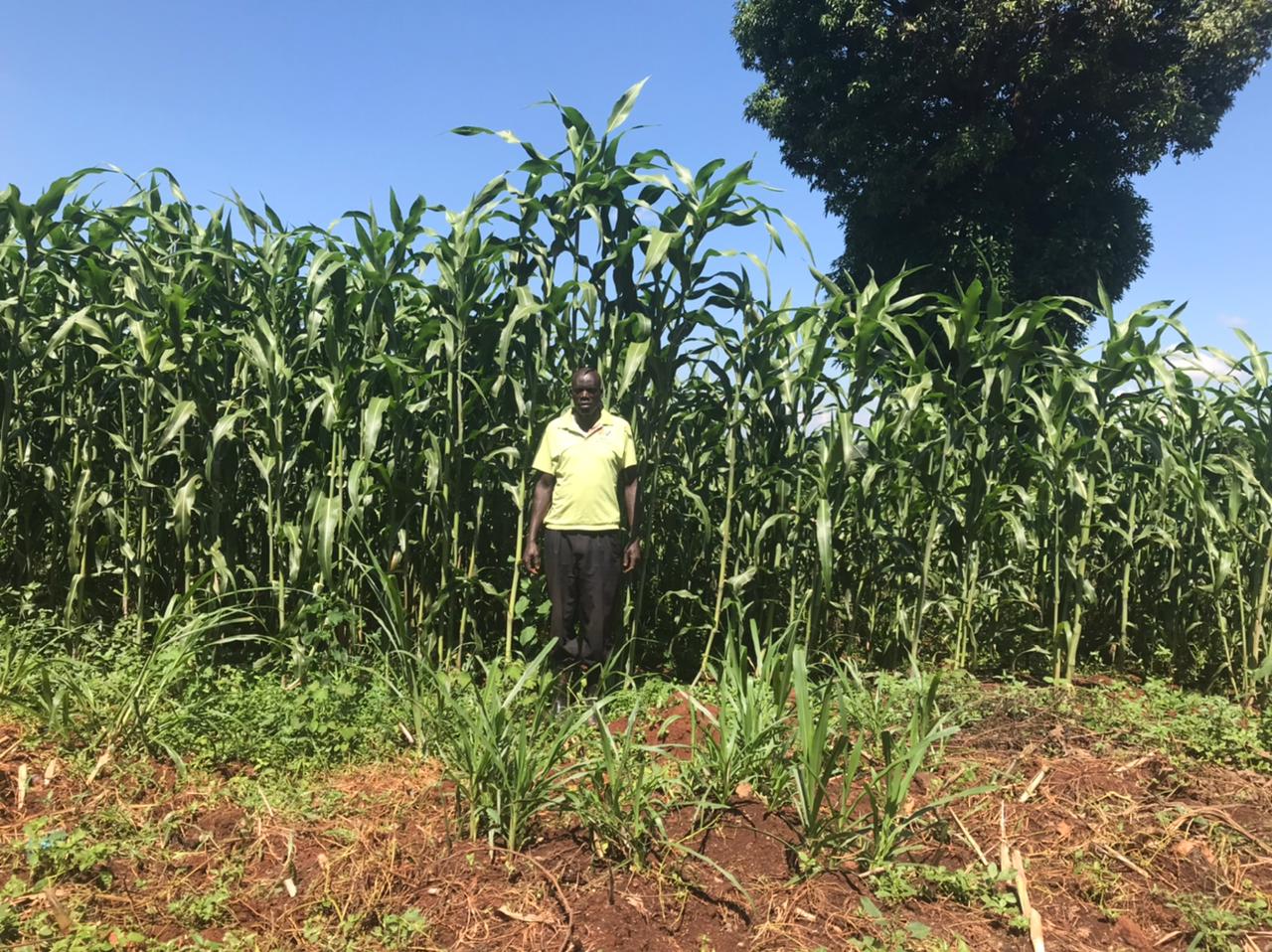 /images/green-farm/img2.jpeg1