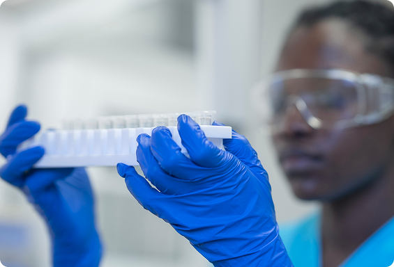 Regulatory Compliance & Audits