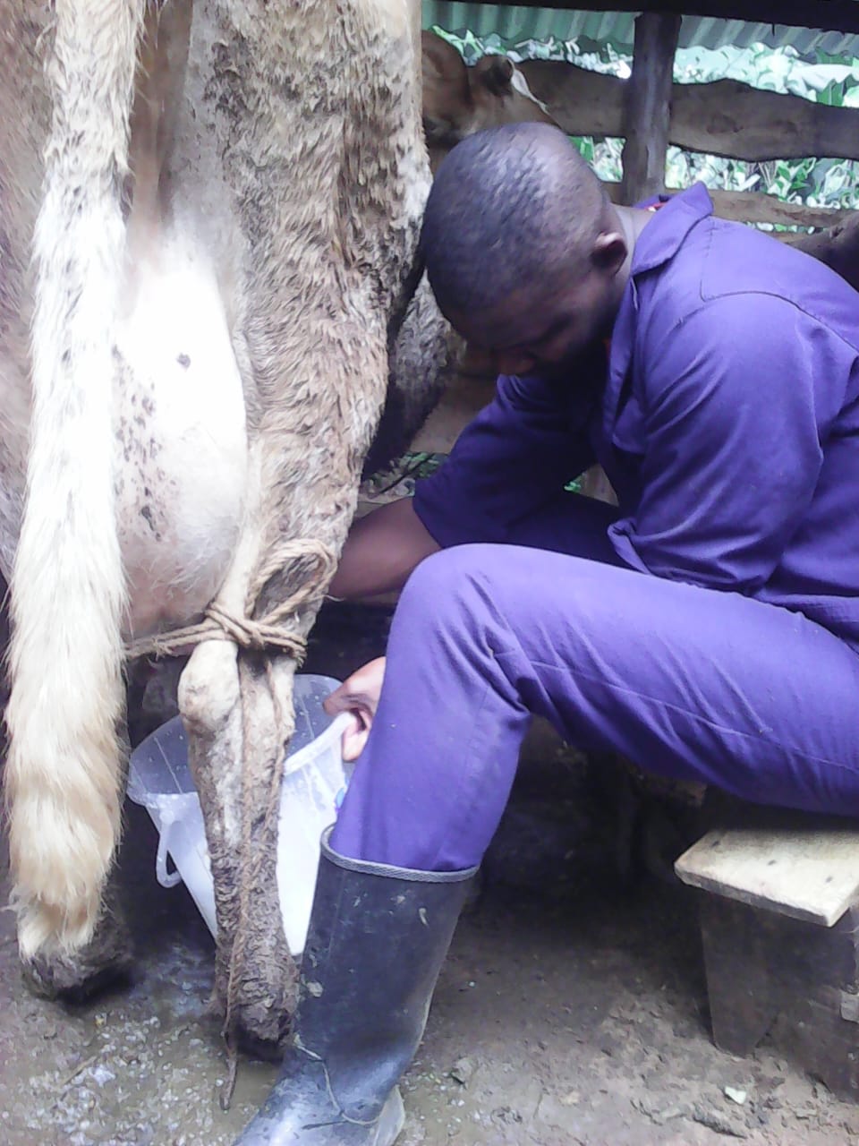 /images/poultry/p5.jpeg1