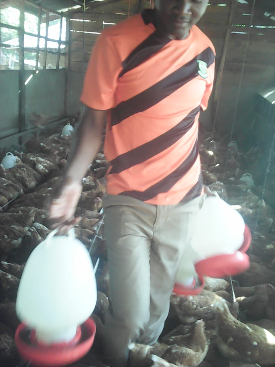 /images/poultry/p6.jpeg1