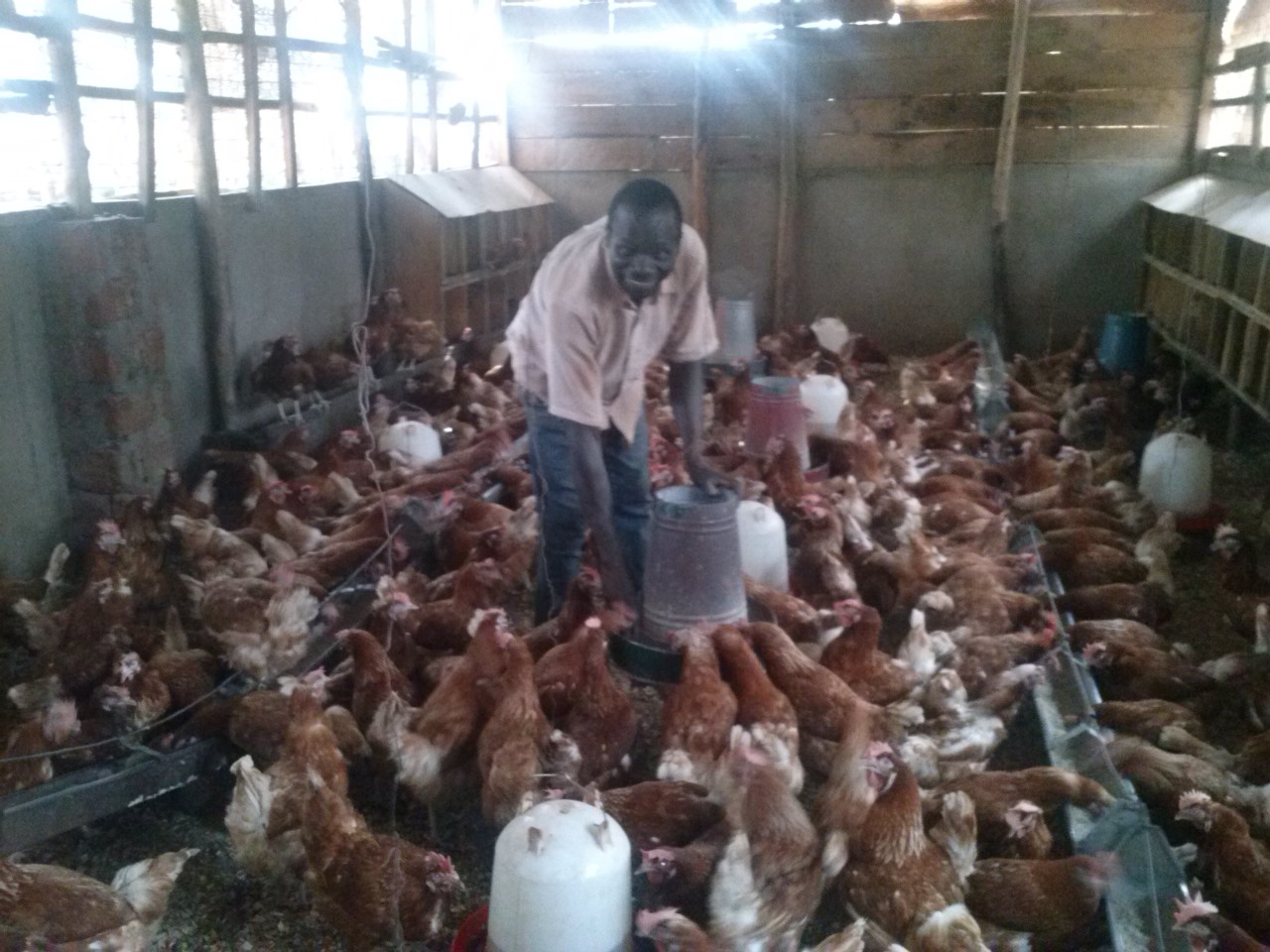 /images/poultry/pt18.jpeg1