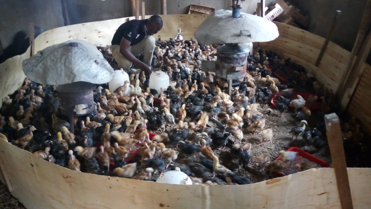 /images/poultry/pt27.jpeg1